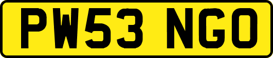 PW53NGO