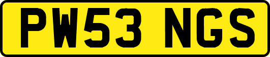 PW53NGS