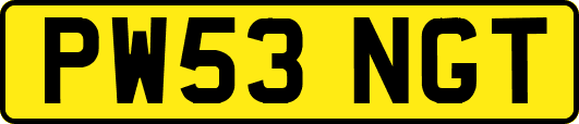PW53NGT
