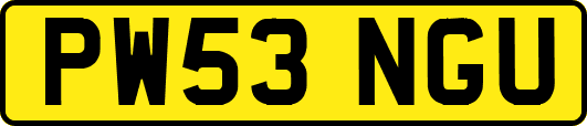 PW53NGU