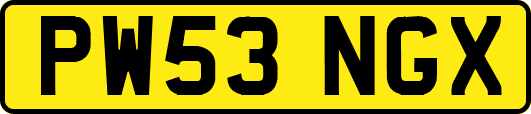 PW53NGX