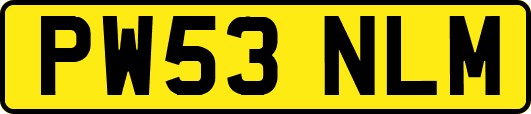 PW53NLM