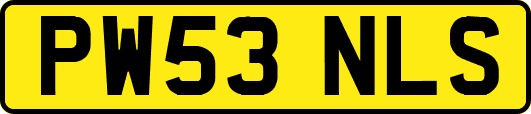PW53NLS
