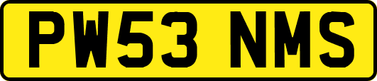 PW53NMS