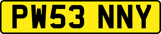 PW53NNY