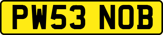 PW53NOB