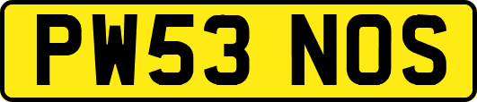 PW53NOS