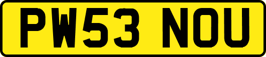 PW53NOU