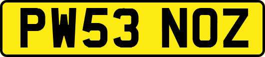 PW53NOZ