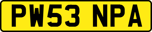 PW53NPA