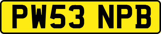 PW53NPB
