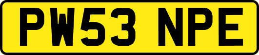 PW53NPE