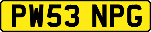 PW53NPG