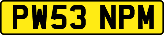 PW53NPM