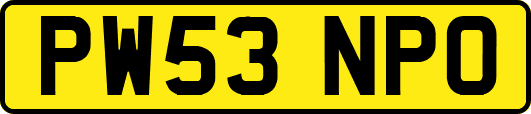 PW53NPO