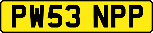 PW53NPP
