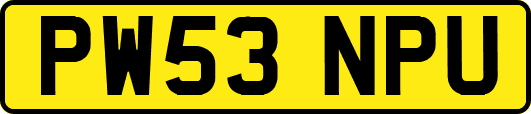 PW53NPU