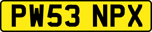 PW53NPX