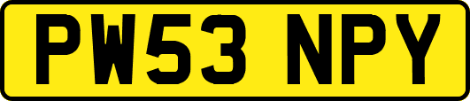 PW53NPY