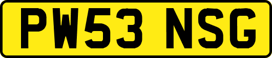 PW53NSG