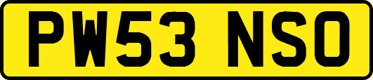 PW53NSO