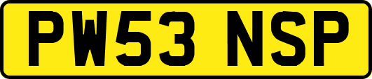 PW53NSP