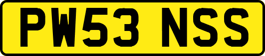 PW53NSS