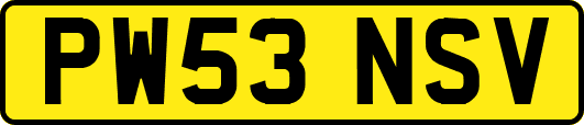 PW53NSV