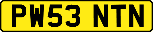 PW53NTN