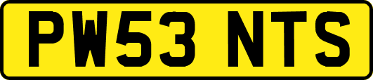PW53NTS