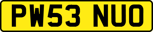PW53NUO