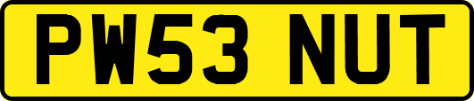PW53NUT