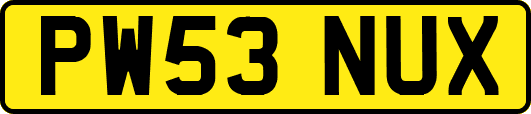 PW53NUX
