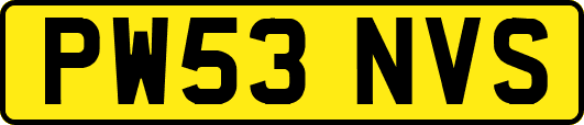 PW53NVS