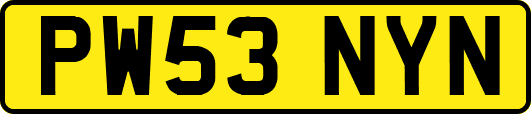 PW53NYN