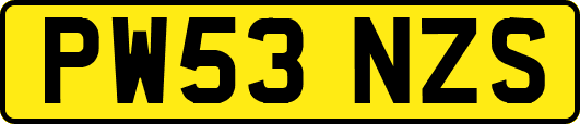 PW53NZS