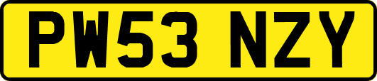 PW53NZY