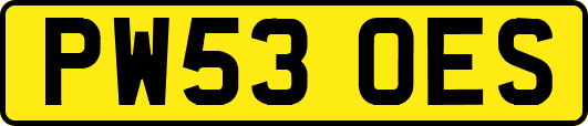 PW53OES
