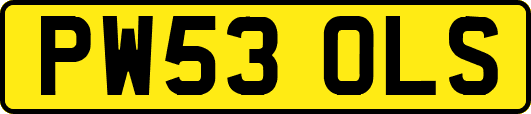 PW53OLS