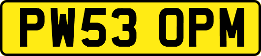 PW53OPM