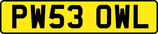 PW53OWL