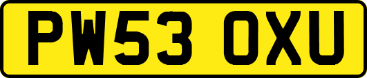 PW53OXU