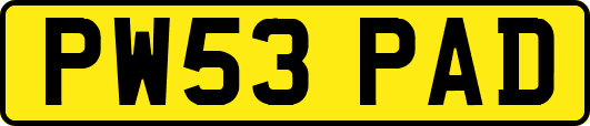 PW53PAD