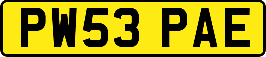 PW53PAE