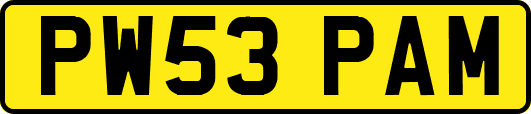 PW53PAM
