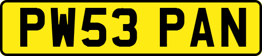 PW53PAN