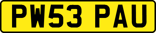 PW53PAU