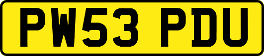 PW53PDU