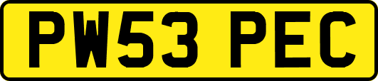 PW53PEC
