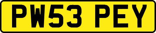 PW53PEY